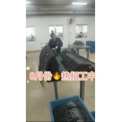 浙江江山電熱棒廠  長白班～兩班倒   男18-55，女18-50周歲