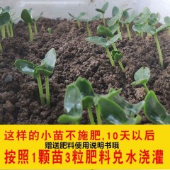 蔬菜復(fù)合肥盆栽花卉通用型氮磷鉀肥料種菜蔬菜專用肥水溶復(fù)合肥