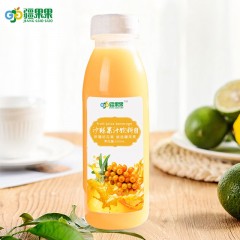 新疆 喀什 疆果果沙棘汁300ml/10瓶  果汁